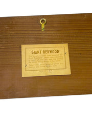 Load image into Gallery viewer, Vintage 1962 Giant Redwood Dad Poem Wall Plaque F. Plasman Father's Day
