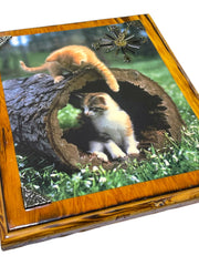 Load image into Gallery viewer, Vintage Kitten Cat Wooden Wall Clock Plaque 12x10 Nonworking Quartz