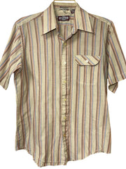 Load image into Gallery viewer, Vintage Contour Fitted Stripe Shirt – Earth Tones, Retro Summer Button-Up (M)