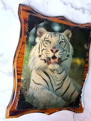 Load image into Gallery viewer, Vintage Patrick Martin-Vegue White Tiger Wall Plaque Wood Frame Wildlife Art