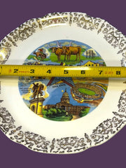Load image into Gallery viewer, Vintage Texas Souvenir Plate Lone Star State Alamo 9.25”