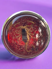 Load image into Gallery viewer, Crimson Sting Ring