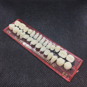 Resin Prop Teeth - Full Set - Lisa Lassi