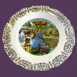Load image into Gallery viewer, Vintage Texas Souvenir Plate Lone Star State Alamo 9.25”
