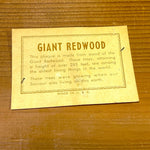 Load image into Gallery viewer, Vintage 1962 Giant Redwood Dad Poem Wall Plaque F. Plasman Father's Day
