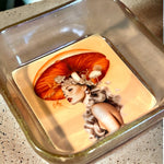 Load image into Gallery viewer, Mushroom Babe (yellow) Mini Catch-All Tray
