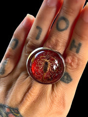 Load image into Gallery viewer, Crimson Sting Ring
