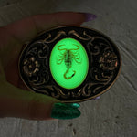 Load image into Gallery viewer, Glow in the Dark Scorpion Belt Buckle
