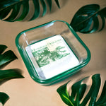 Load image into Gallery viewer, Monstera Mini Catch All Tray
