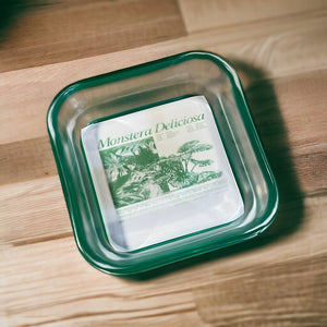 Monstera Mini Catch All Tray