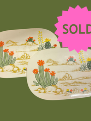 Load image into Gallery viewer, SOLD - Vintage Desert Cactus Placemats Set of 2 – Southwestern Floral Vinyl Mats - Lisa Lassi