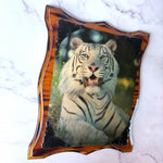 Load image into Gallery viewer, Vintage Patrick Martin-Vegue White Tiger Wall Plaque Wood Frame Wildlife Art
