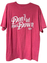 Load image into Gallery viewer, Reba “Fancy” Lyrics Graphic Tee Here’s Your One Chance Red Unisex Large