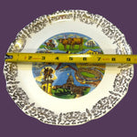 Load image into Gallery viewer, Vintage Texas Souvenir Plate Lone Star State Alamo 9.25”
