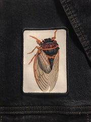 Load image into Gallery viewer, Cicada Patch
