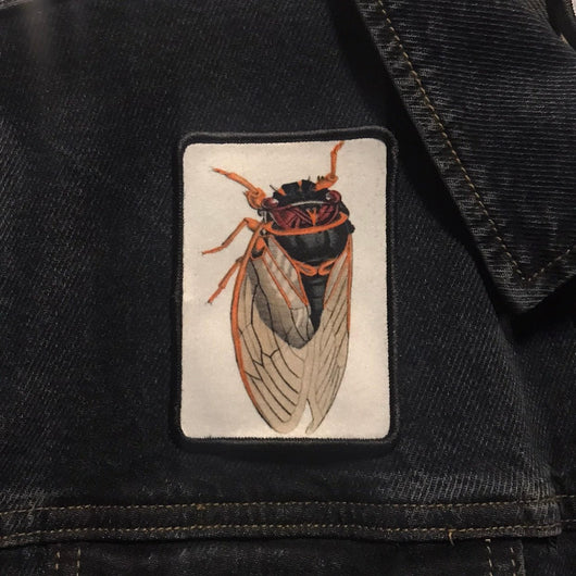 Cicada Patch