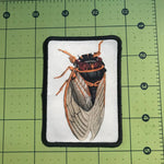 Load image into Gallery viewer, Cicada Patch
