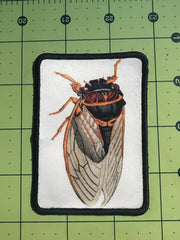 Load image into Gallery viewer, Cicada Patch
