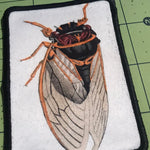 Load image into Gallery viewer, Cicada Patch
