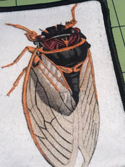 Load image into Gallery viewer, Cicada Patch
