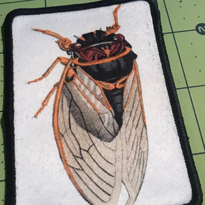 Cicada Patch